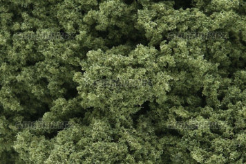 Posypov trsy - svtle zelen